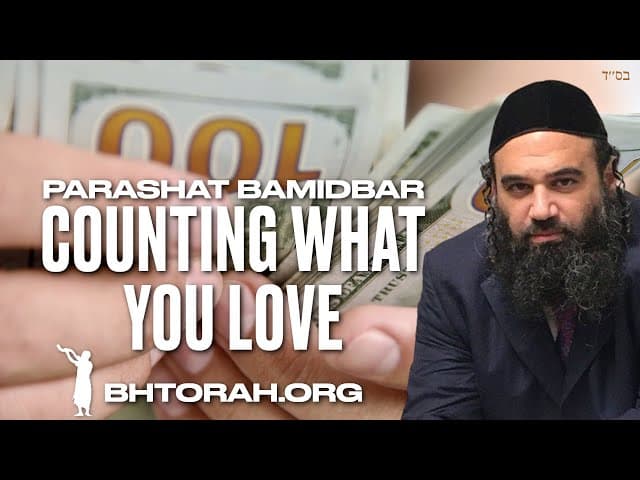 Parashat Bamidbar - Counting What You Love