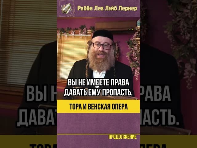 Тора и Венская опера 💡 Невероятная история о Раве Шмуэле Вознере #shorts #тора