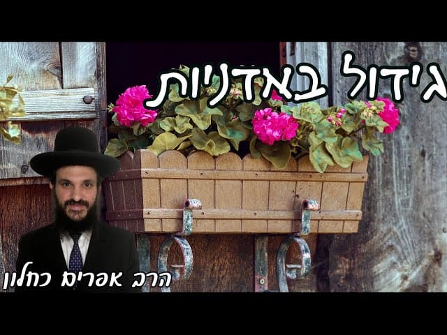 גידול באדניות | קצרים