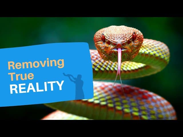 TeShuva Music REMEMBER YOUR PAST (Preparing for Yom Kippur)
