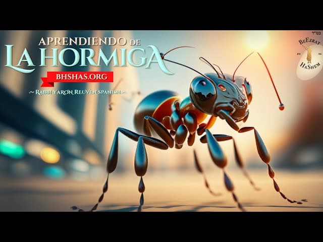 Aprended de la hormiga 🐜