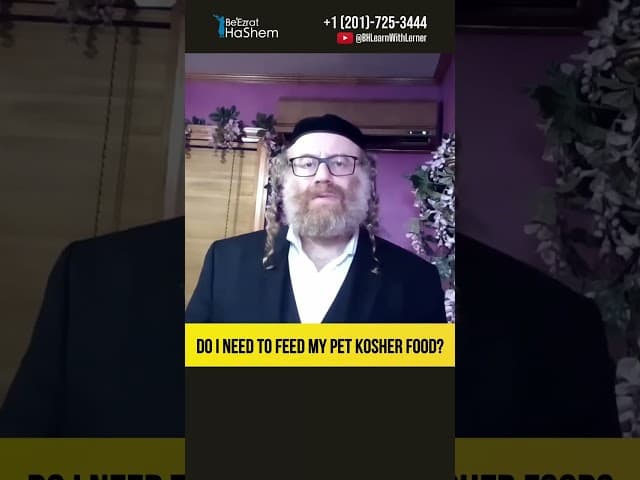 Do I need to feed my pet kosher food? The Laws of Torah Study #Torah #shorts