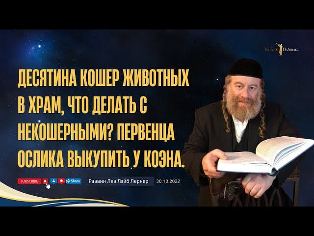 Десятина кошер животных в Храм, что делать с не кошерными?   Первенца ослика выкупить у Коэна.