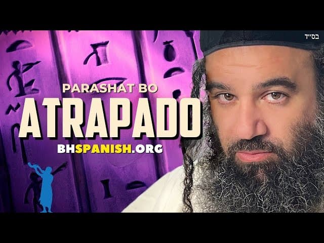 Parashat Bo - Atrapado por pecados
