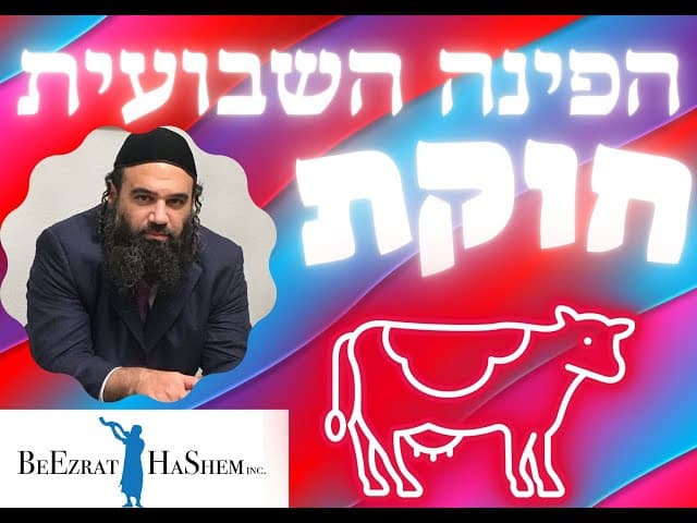 פרשת חוקת . חוקת