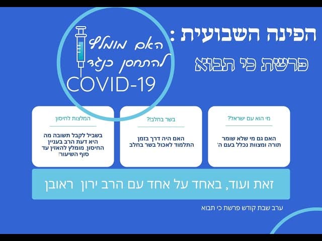 הפינה השבועית : פרשת כי תבוא .