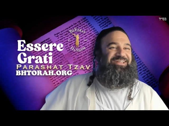 Parashat Tzav | Essere grati