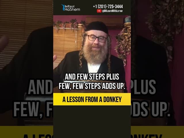 A lesson from a donkey 📚 Secret of Spiritual Growth #shorts #torah