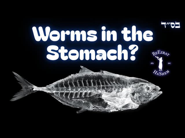 If Someone Catches a Kosher Fish and Finds Non Kosher Contents in Its Stomach, Is It Non Kosher?