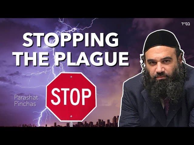 Parashat Pinchas Stopping The Plague