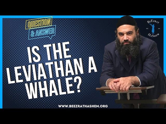   IS THE LEVIATHAN A WHALE