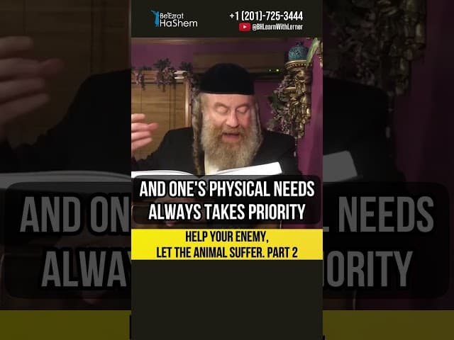 2️⃣ Help your enemy, let the animal suffer 🫏  Character Development #torah #shorts