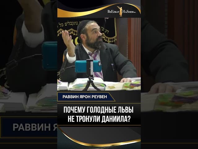 Почему голодные львы не тронули Даниила? | Раввин Ярон Реувен