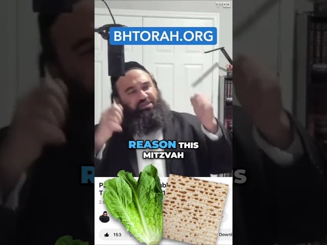 Why HaShem Took Us Out Of Egypt?