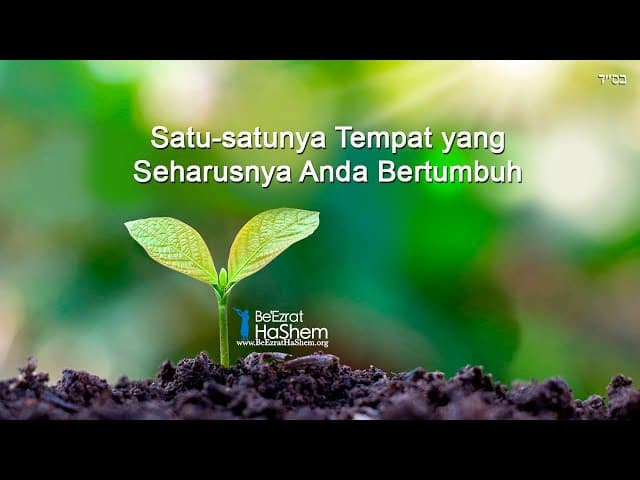 Satu-Satunya Tempat yang Seharusnya Anda Bertumbuh