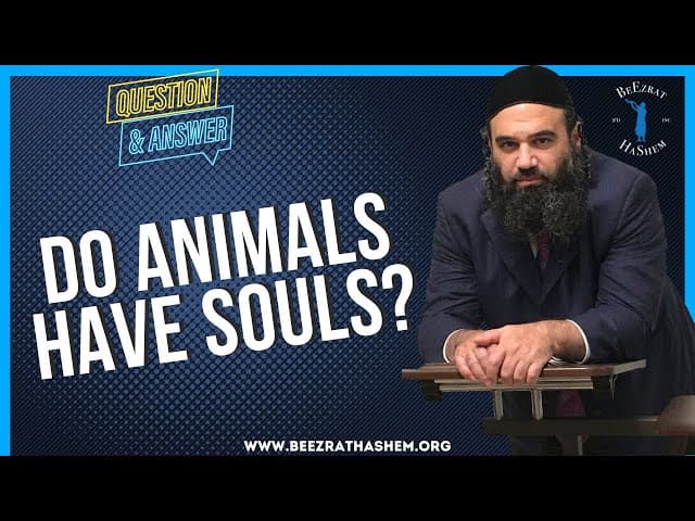 DO ANIMALS HAVE SOULS?