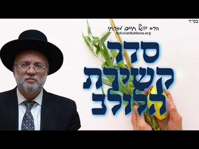 סדר קשירת הלולב - הרב יוסף חיים מזרחי