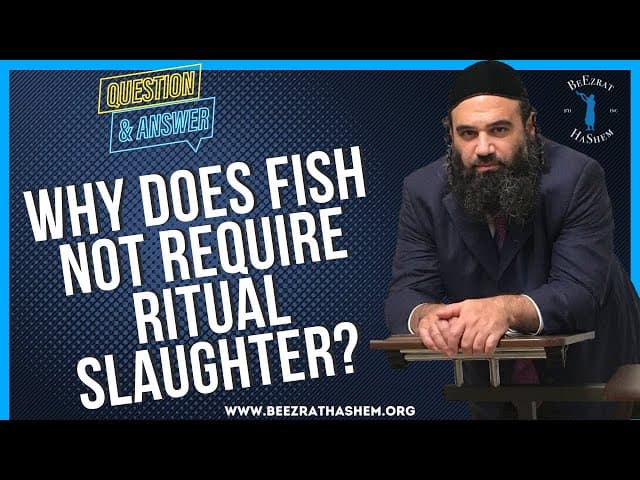 WHY DOES FISH NOT REQUIRE RITUAL SLAUGHTER?