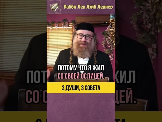 Билаам, Тит и Иисус ⛈️ Что если идти против Раввинов? #Тора #shorts