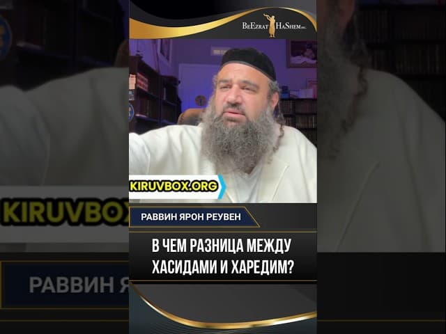 В чем разница между хасидами и харедим?