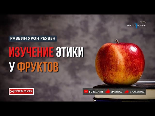 Изучение Этики у Фруктов 🍎 Тора, Скромность, Мусар #тора