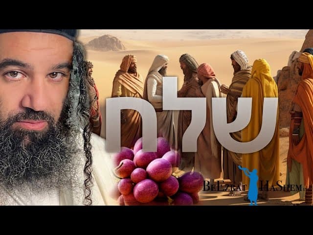להבין רמזים | פרשת שלח לך | הפינה השבועית