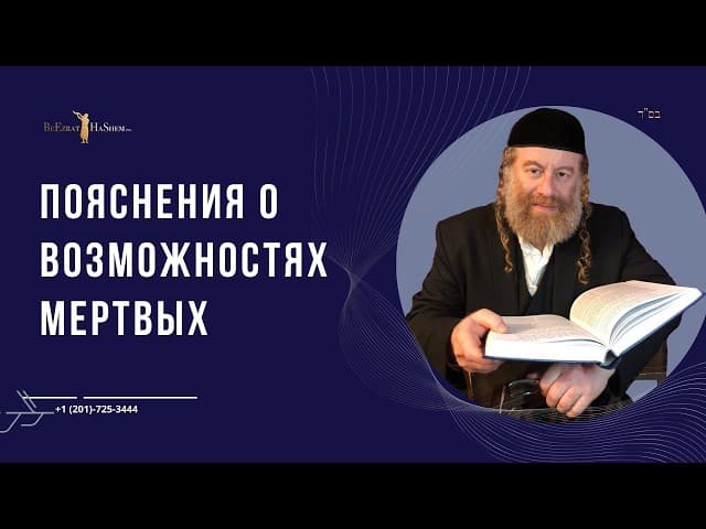 Пояснения о возможностях мертвых