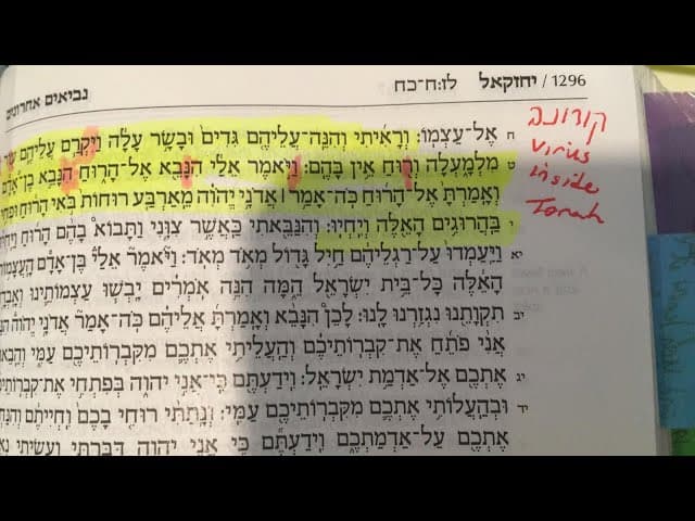 הקרונה בדרך לישראל????