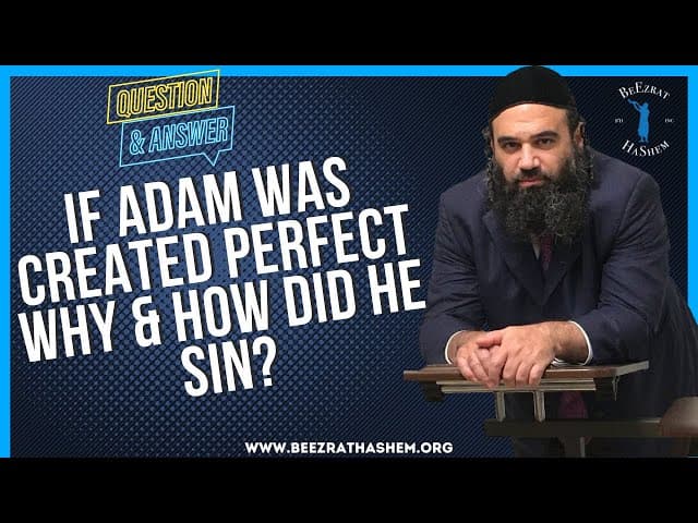   IF ADAM WAS SO PERFECT, WHY DID HE SIN