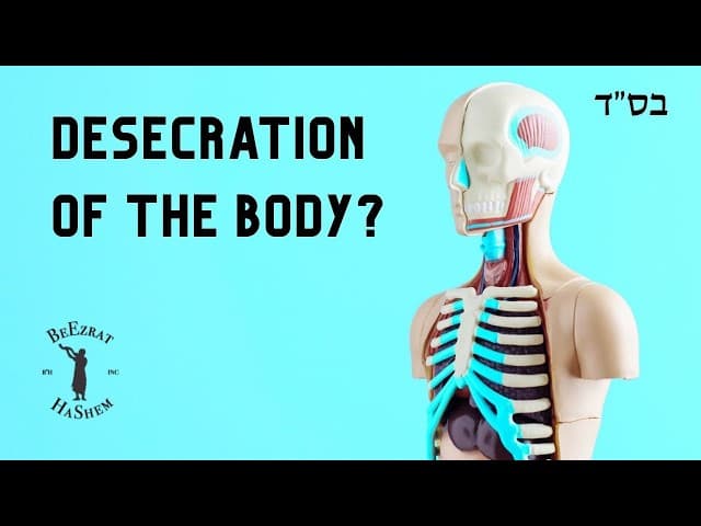 Tzedakah: Is One Allowed To Donate an Organ During Life or After Death?