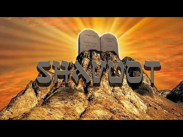 Shavuot Special: How Much Torah Do We Have In This World Vs. Olam HaBa