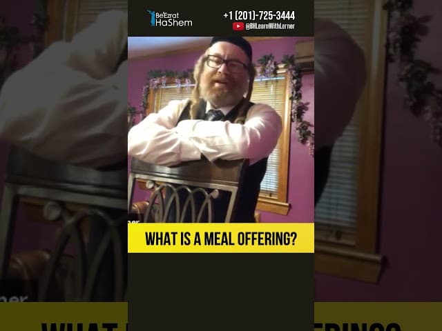 Question What is a meal offering #Torah #shorts
