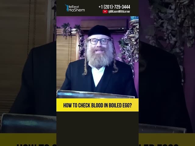 How to check blood in boiled egg? #Torah #shorts