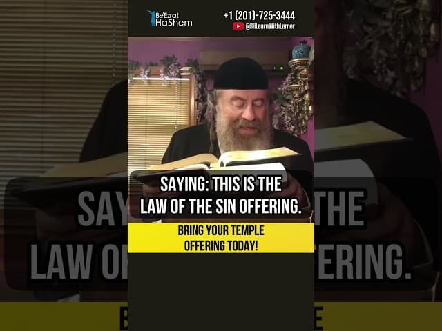 Bring your Temple offering today! 💠Torah and Korbanot #shorts #torah