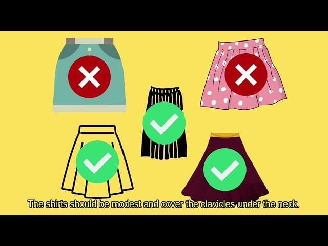 Modesty Laws