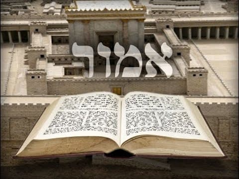 פרשת אמור מלה סיפורים וחידושים,  שיעור גאוני מהרב אפרים כחלון שליט"א