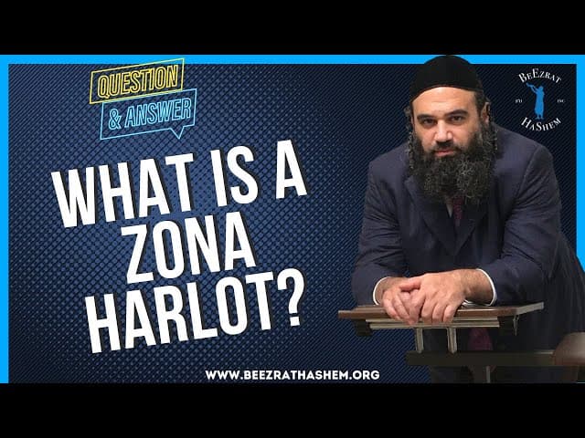   WHAT IS A ZONA HARLOT