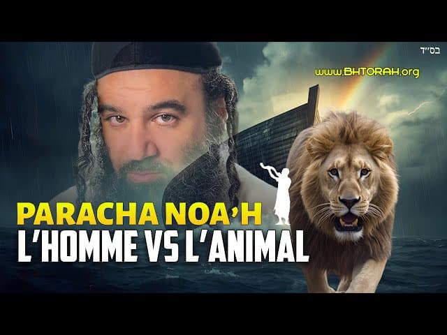 Paracha Noa’h : Qu’est-ce Qui Sépare l’Homme de l’Animal ?