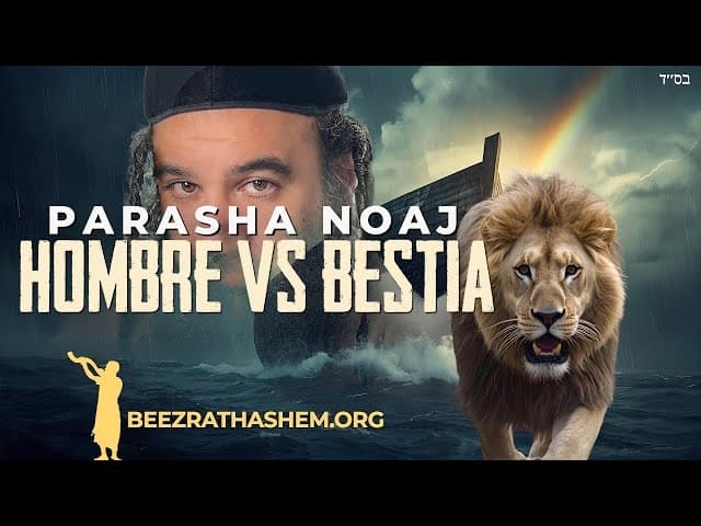Parashat Noaj: ¿Cuál es la diferencia que separa al hombre de la bestia?