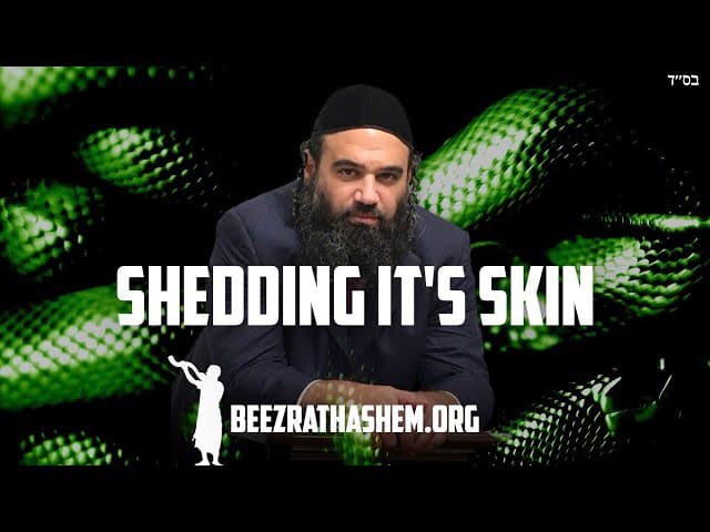 The Yetzer Hara Never Gives Up