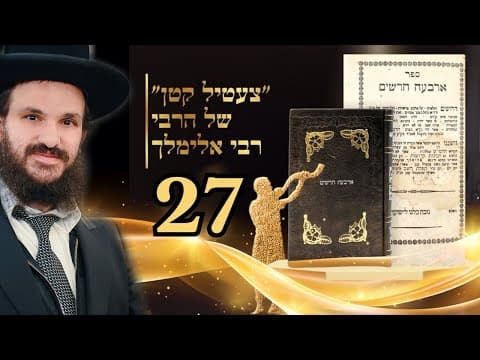 תורת החסידות