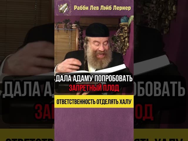 Ответственность отделять Халу 🔹 Адам и Хава #shorts #тора