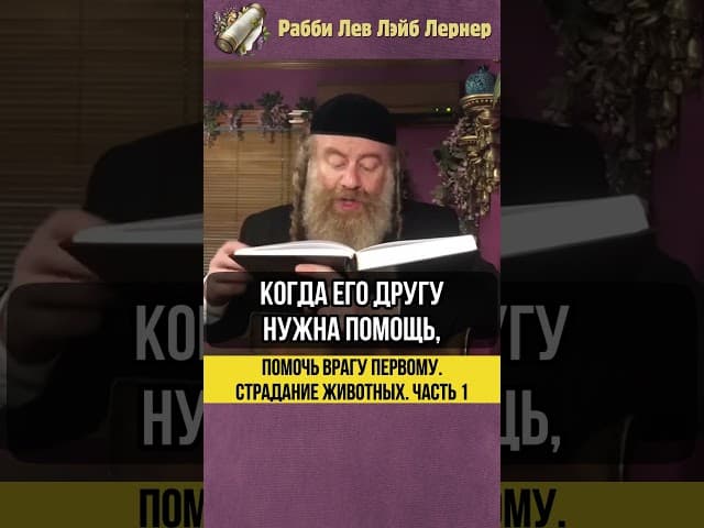 1️⃣ Помочь врагу первому 😲 Страдание животных #shorts #тора