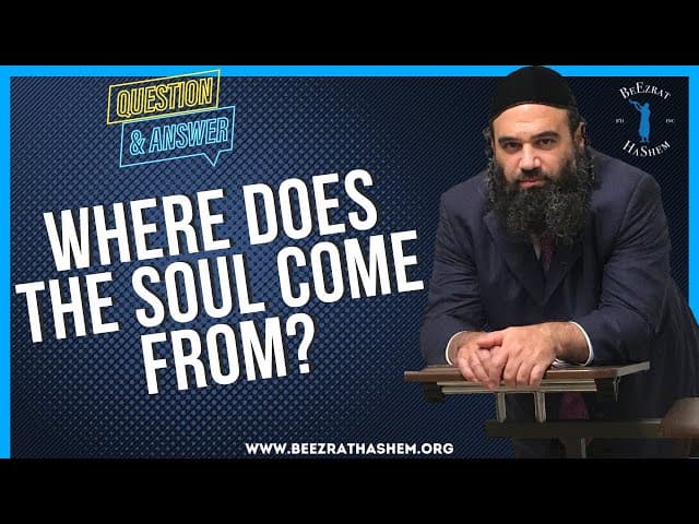  WHERE DOES THE SOUL COME FROM