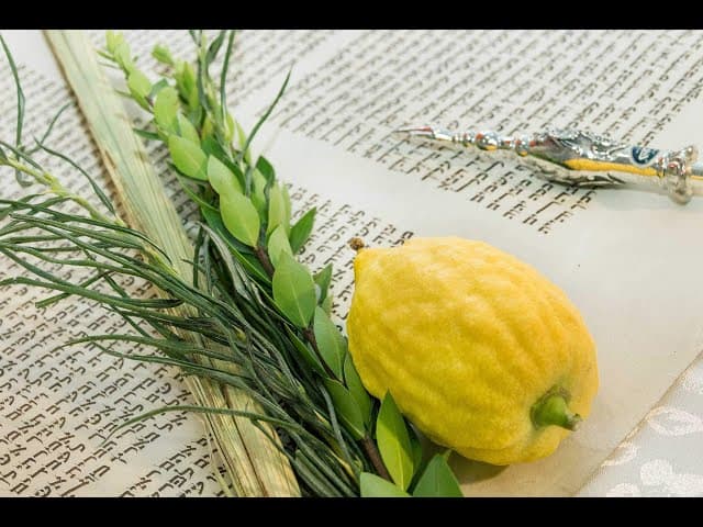 Mitzvot of Sukkot: The Dos and Don'ts