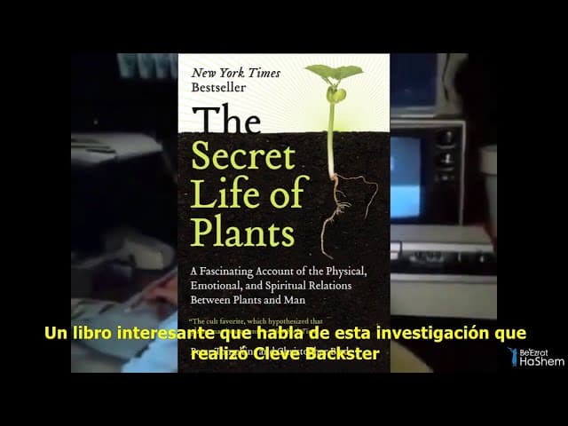 El Científico que Probó que el Desperdicio de Semen es Asesinato. (Un Corto de BeEzrat HaShem Inc)