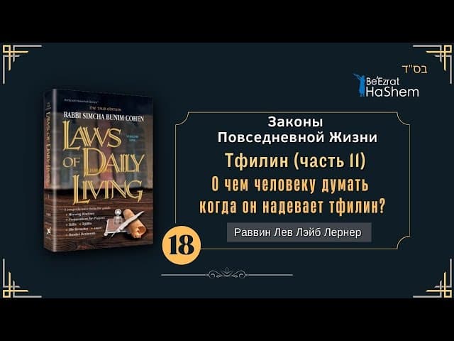 𝟭𝟴. Законы Повседневной Жизни | О чем человеку думать когда он надевает тфилин?