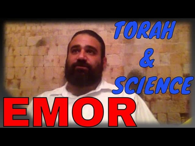 Parashat Emor: Child Education, Kohanim, Scientific Proofs of Torah & More