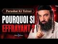 Parashot (Section Hebdomadaire de la Torah)
