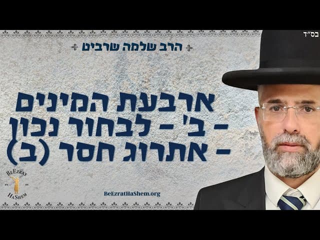 פרקטי וקצר - ארבעת המינים - ב' - לבחור נכון - אתרוג חסר (ב)